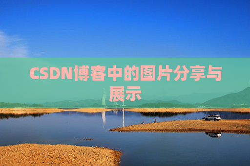 CSDN博客中的图片分享与展示